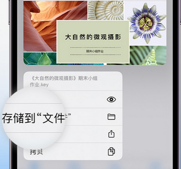 自流井apple维修中心分享iPhone文件应用中存储和找到下载文件