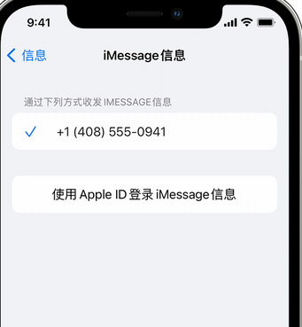 自流井apple维修iPhone上无法正常发送iMessage信息