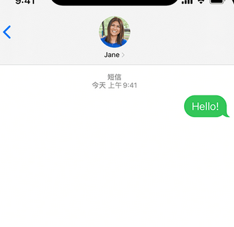 自流井apple维修iPhone上无法正常发送iMessage信息