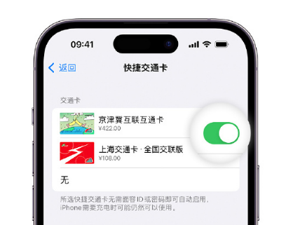 自流井apple维修点分享iPhone上更换Apple Pay快捷交通卡手绘卡面 