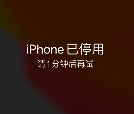 自流井苹果手机维修分享:iPhone 显示“不可用”或“已停用”怎么办？还能保留数据吗？ 