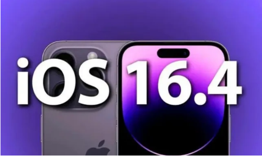 自流井苹果14维修分享：iPhone14可以升级iOS16.4beta2吗？ 