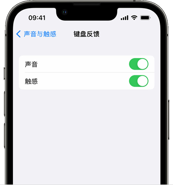 自流井苹果14维修店分享如何在 iPhone 14 机型中使用触感键盘 