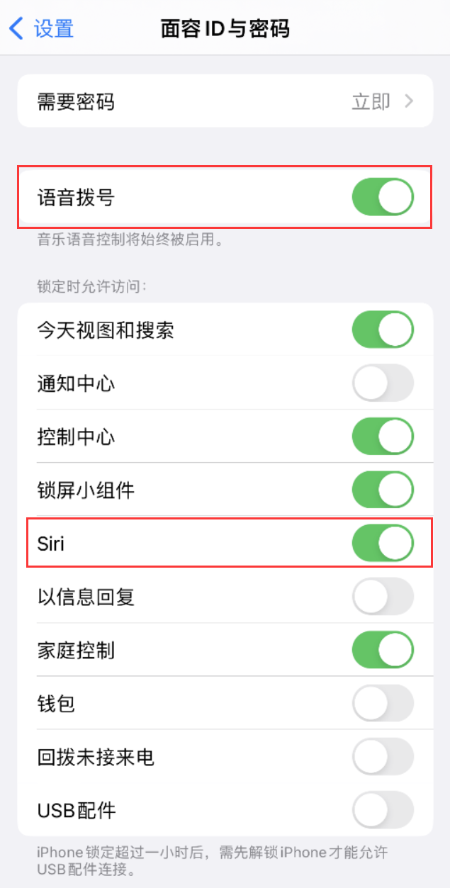 自流井苹果维修网点分享不解锁 iPhone 的情况下通过 Siri 拨打电话的方法 