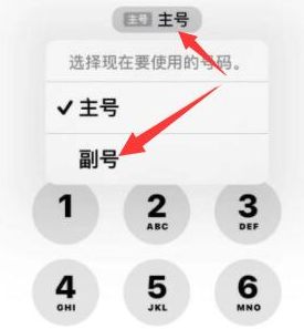 自流井苹果14维修店分享iPhone 14 Pro Max使用副卡打电话的方法 