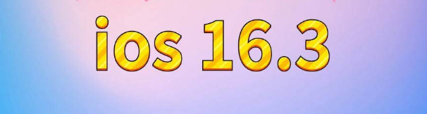 自流井苹果服务网点分享苹果iOS16.3升级反馈汇总 