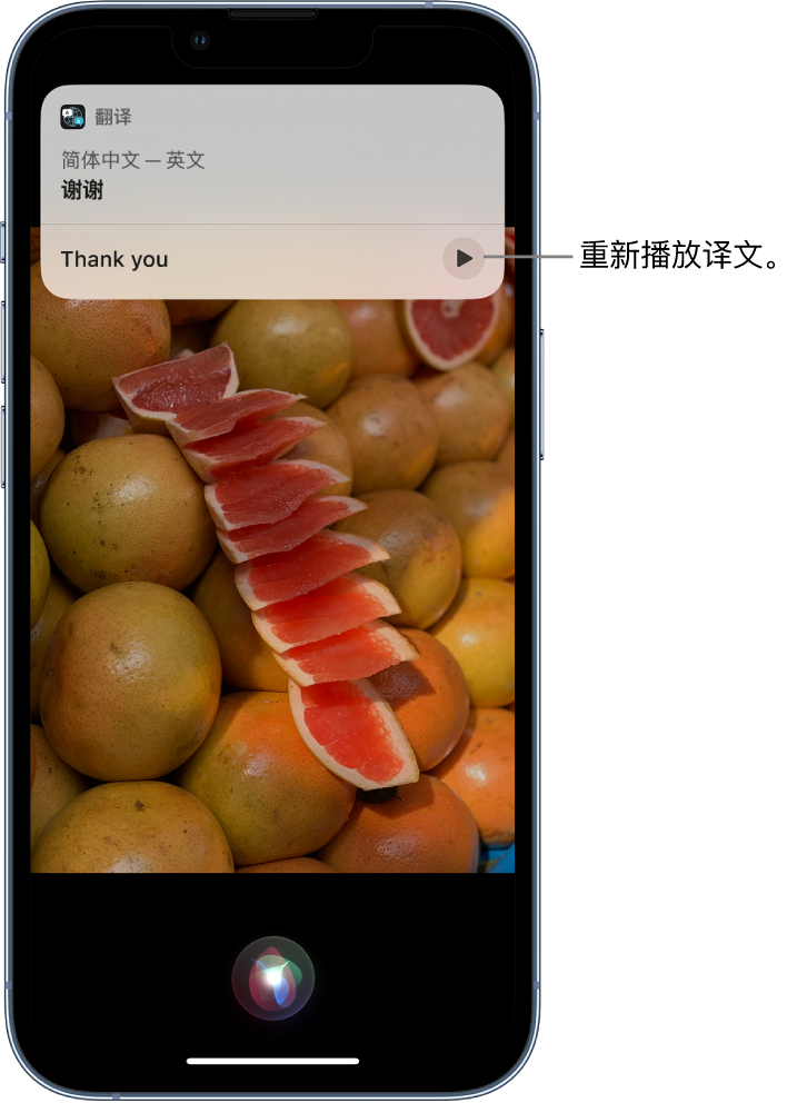 自流井苹果14维修分享 iPhone 14 机型中使用 Siri：了解 Siri 能帮你做什么 