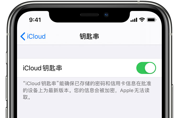 自流井苹果手机维修分享在 iPhone 上开启 iCloud 钥匙串之后会储存哪些信息 