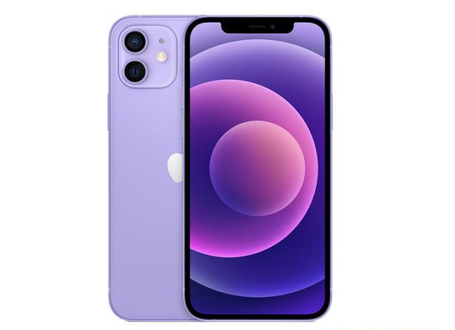 自流井苹果手机维修分享现阶段要不要入手紫色版iPhone12 