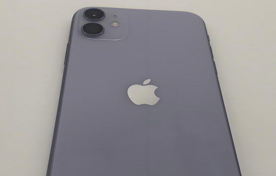 自流井苹果11系统维修分享iPhone11手机系统崩溃无法开机如何解决 
